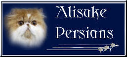 Alisuke Persians