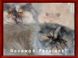 Rocawen Persians
